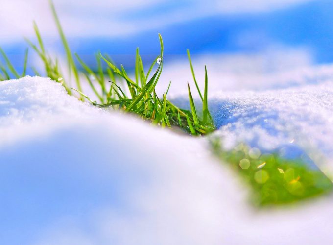 Stock Images snow, winter, grass, 4k, Stock Images 240672691